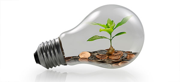 lightbulb
